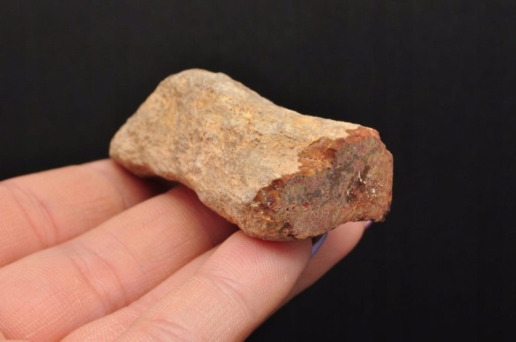 * SKAMIENIAŁE DREWNO PIENIEK WYJĄTKOWY KAMIEŃ JAKO OZDOBA NR DPI10 *