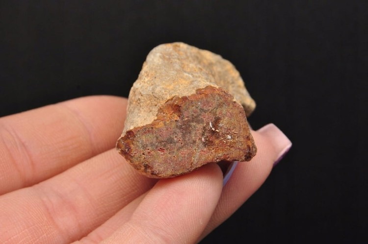 * SKAMIENIAŁE DREWNO PIENIEK WYJĄTKOWY KAMIEŃ JAKO OZDOBA NR DPI10 *