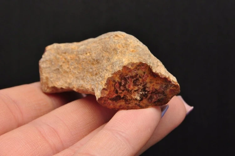 * SKAMIENIAŁE DREWNO PIENIEK WYJĄTKOWY KAMIEŃ JAKO OZDOBA NR DPI10 *