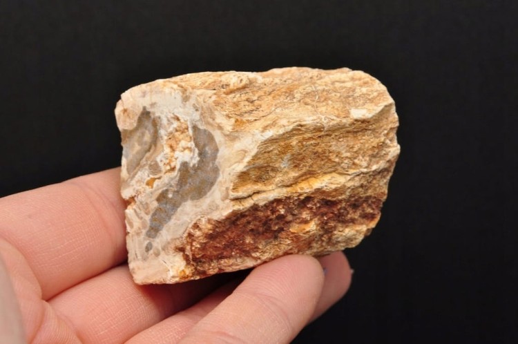 * SKAMIENIAŁE DREWNO PIENIEK WIELOKOLOROWY OKAZ PIĘKNY ODCIEŃ BRĄZU DPI14 *