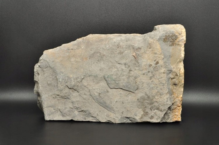 * BELEMNIT NA SKALE 1,2 KG DOBRZE ZACHOWANE OKAZY DLA KOLEKCJONERA NR 2 *