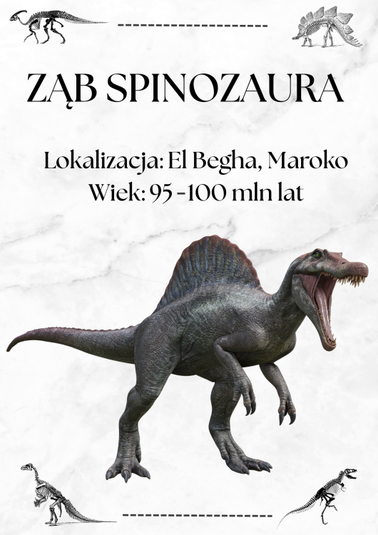 SPINOZAUR POJEDYNCZY.png