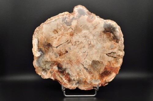 * SKAMIENIAŁE DREWNO PLASTER WYJĄTKOWY SZLIFOWANY OKAZ 0,9 KG NR 1 *