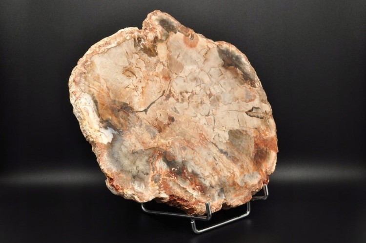 * SKAMIENIAŁE DREWNO PLASTER WYJĄTKOWY SZLIFOWANY OKAZ 0,9 KG NR 1 *