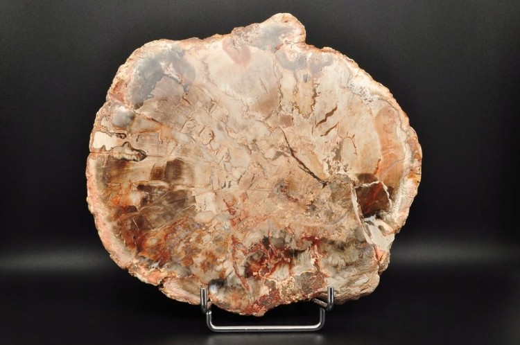 * SKAMIENIAŁE DREWNO PLASTER WYJĄTKOWY SZLIFOWANY OKAZ 0,9 KG NR 1 *