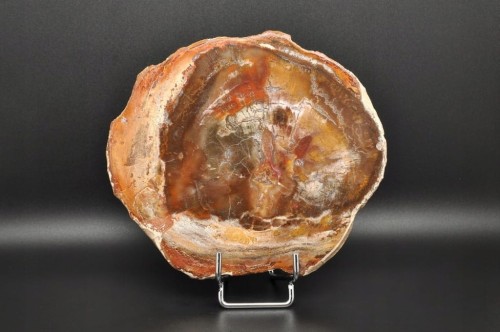 * SKAMIENIAŁE DREWNO PLASTER PIĘKNY OKAZ BARDZO ŁADNA BARWA NR 5 *