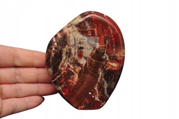 * SKAMIENIAŁE DREWNO MADAGASKAR WIELOKOLOROWY MINERAŁ NATURALNY NR 4 *