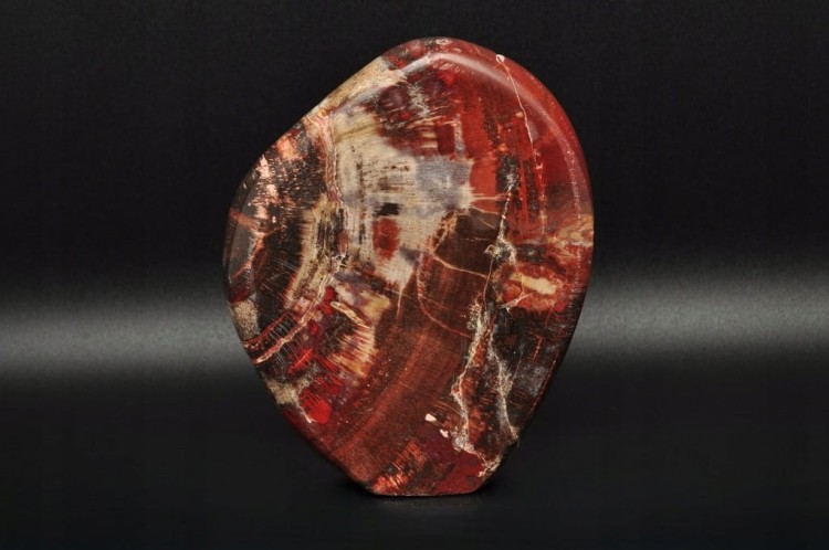 * SKAMIENIAŁE DREWNO MADAGASKAR WIELOKOLOROWY MINERAŁ NATURALNY NR 4 *