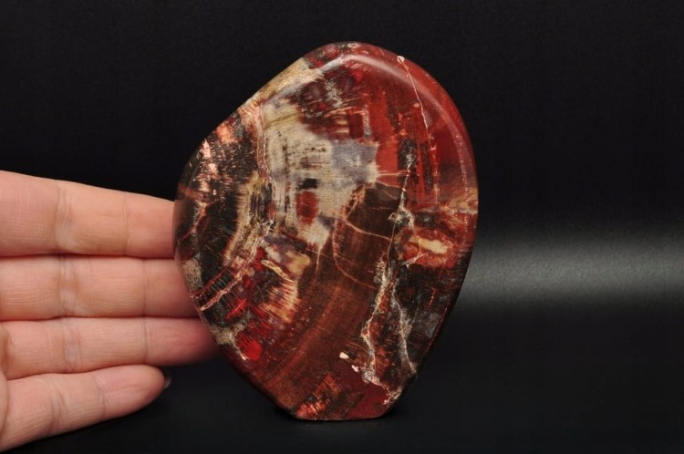 * SKAMIENIAŁE DREWNO MADAGASKAR WIELOKOLOROWY MINERAŁ NATURALNY NR 4 *