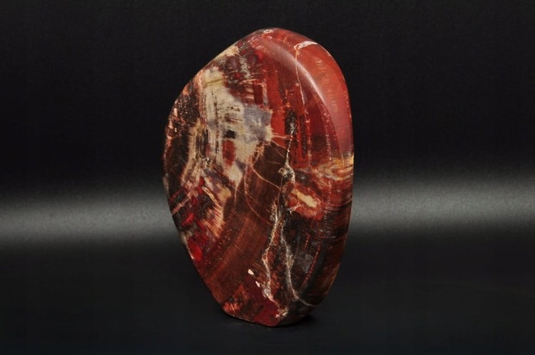 * SKAMIENIAŁE DREWNO MADAGASKAR WIELOKOLOROWY MINERAŁ NATURALNY NR 4 *