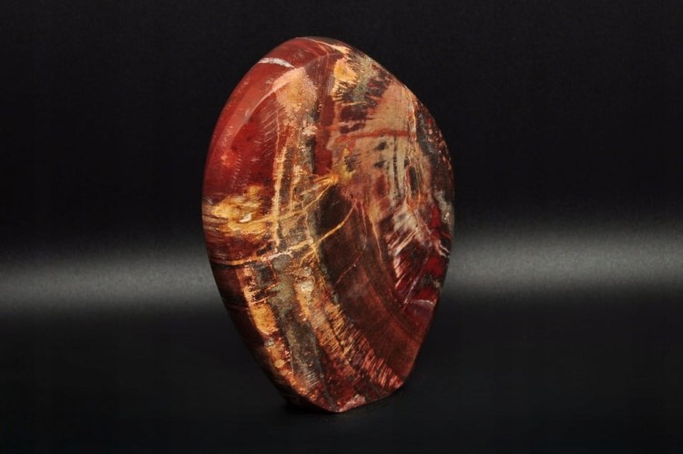 * SKAMIENIAŁE DREWNO MADAGASKAR WIELOKOLOROWY MINERAŁ NATURALNY NR 4 *