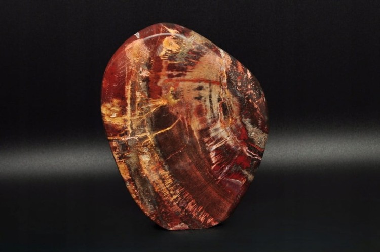 * SKAMIENIAŁE DREWNO MADAGASKAR WIELOKOLOROWY MINERAŁ NATURALNY NR 4 *