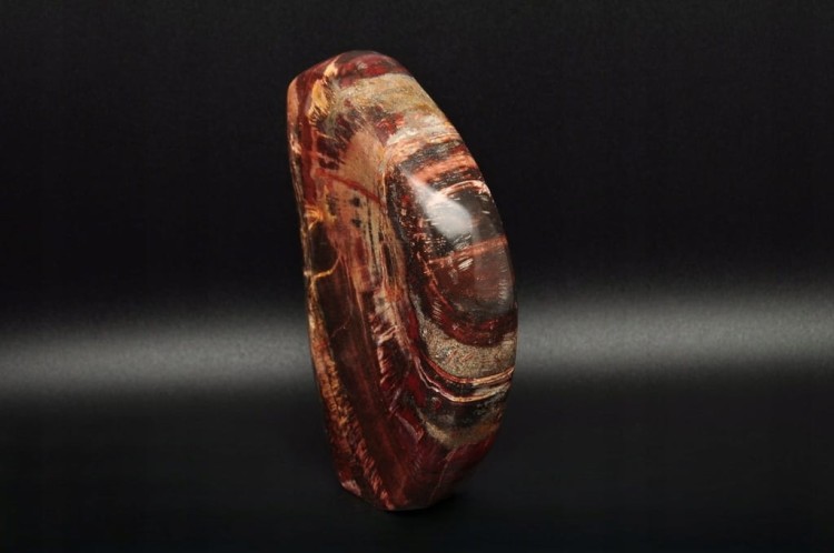 * SKAMIENIAŁE DREWNO MADAGASKAR WIELOKOLOROWY MINERAŁ NATURALNY NR 4 *