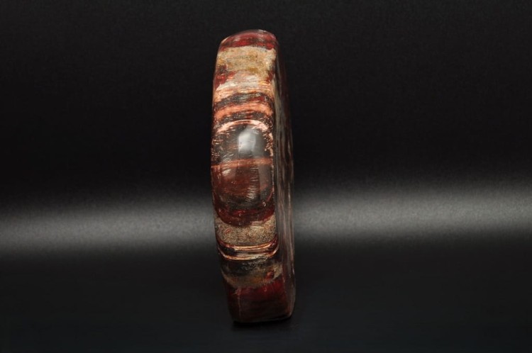 * SKAMIENIAŁE DREWNO MADAGASKAR WIELOKOLOROWY MINERAŁ NATURALNY NR 4 *