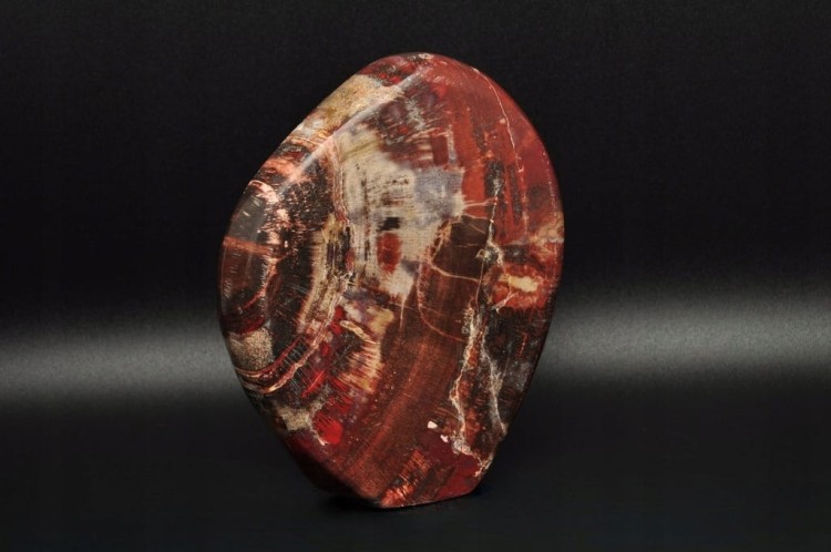 * SKAMIENIAŁE DREWNO MADAGASKAR WIELOKOLOROWY MINERAŁ NATURALNY NR 4 *