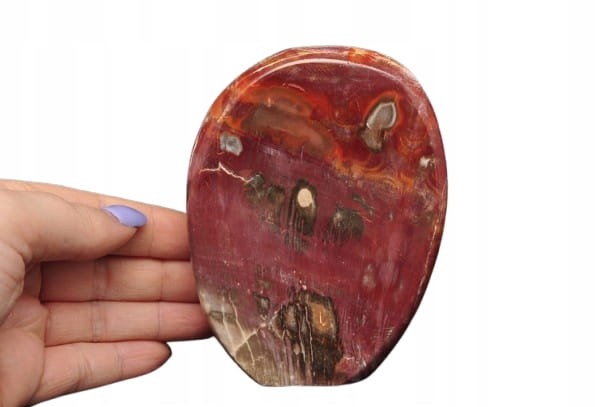 * SKAMIENIAŁE DREWNO MADAGASKAR STOJĄCY KAMIEŃ CUDOWNY PRZEKRÓJ NR 3 *