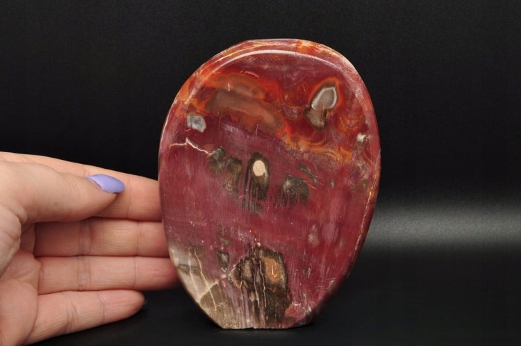 * SKAMIENIAŁE DREWNO MADAGASKAR STOJĄCY KAMIEŃ CUDOWNY PRZEKRÓJ NR 3 *