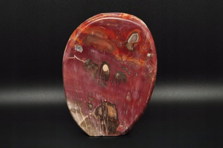 * SKAMIENIAŁE DREWNO MADAGASKAR STOJĄCY KAMIEŃ CUDOWNY PRZEKRÓJ NR 3 *