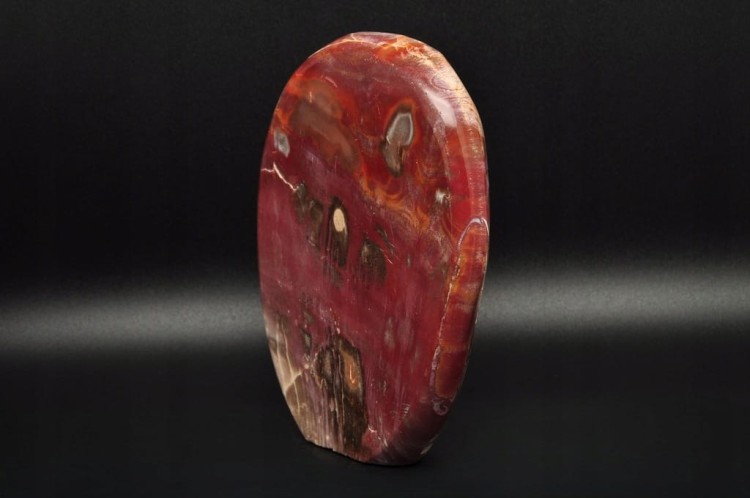 * SKAMIENIAŁE DREWNO MADAGASKAR STOJĄCY KAMIEŃ CUDOWNY PRZEKRÓJ NR 3 *