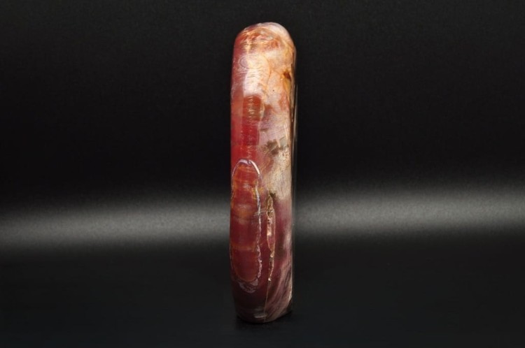 * SKAMIENIAŁE DREWNO MADAGASKAR STOJĄCY KAMIEŃ CUDOWNY PRZEKRÓJ NR 3 *