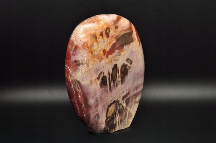 * SKAMIENIAŁE DREWNO MADAGASKAR STOJĄCY KAMIEŃ CUDOWNY PRZEKRÓJ NR 3 *