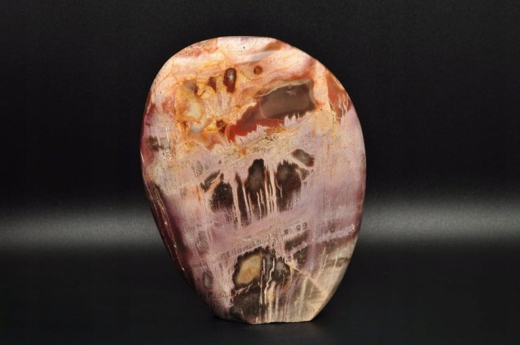 * SKAMIENIAŁE DREWNO MADAGASKAR STOJĄCY KAMIEŃ CUDOWNY PRZEKRÓJ NR 3 *