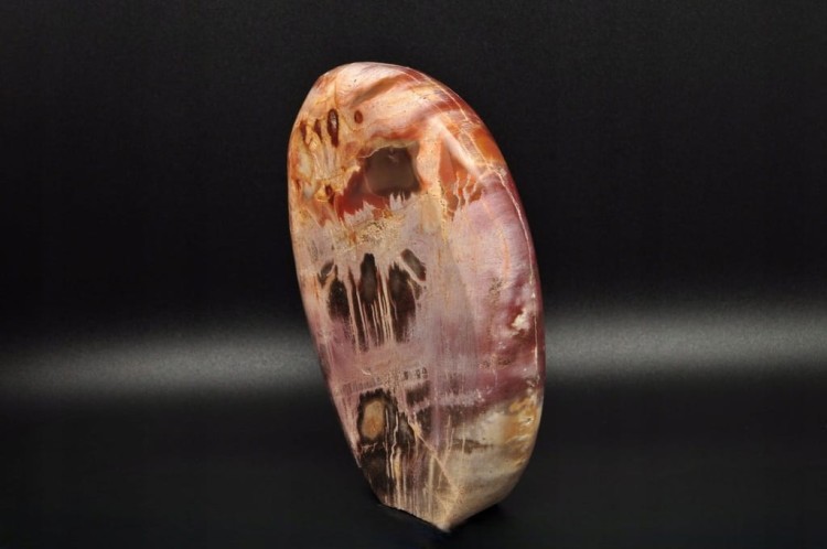 * SKAMIENIAŁE DREWNO MADAGASKAR STOJĄCY KAMIEŃ CUDOWNY PRZEKRÓJ NR 3 *