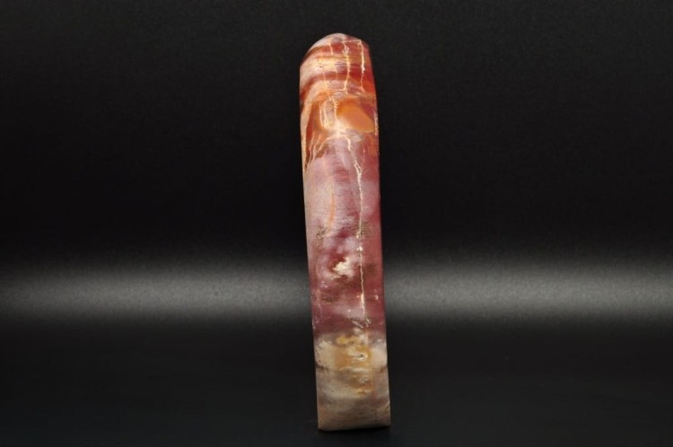 * SKAMIENIAŁE DREWNO MADAGASKAR STOJĄCY KAMIEŃ CUDOWNY PRZEKRÓJ NR 3 *