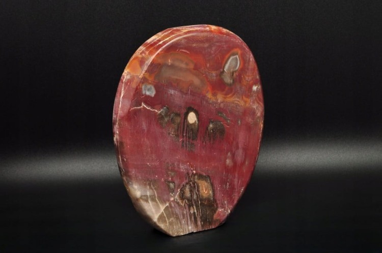 * SKAMIENIAŁE DREWNO MADAGASKAR STOJĄCY KAMIEŃ CUDOWNY PRZEKRÓJ NR 3 *