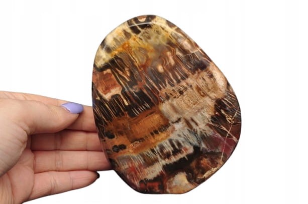 * SKAMIENIAŁE DREWNO MADAGASKAR STOJĄCY MINERAŁ ZJAWISKOWY WZÓR NR 1 *