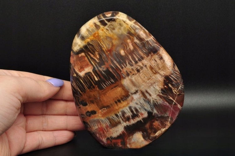 * SKAMIENIAŁE DREWNO MADAGASKAR STOJĄCY MINERAŁ ZJAWISKOWY WZÓR NR 1 *