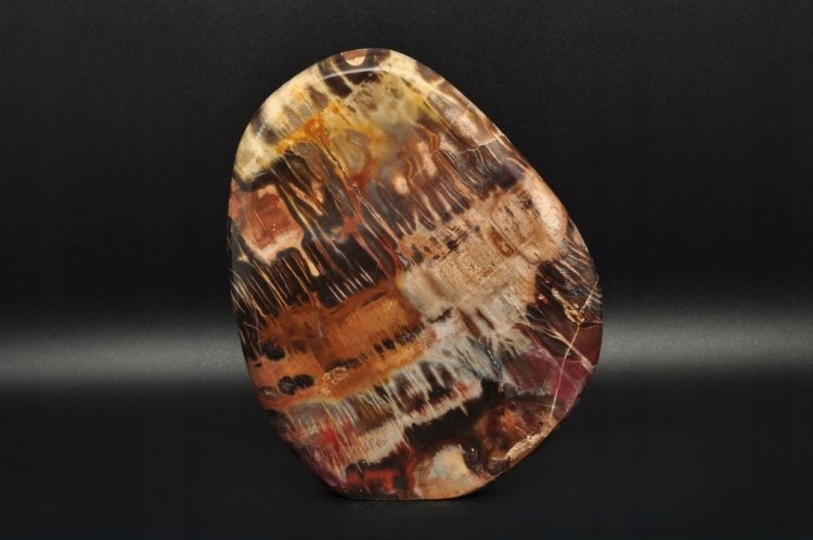 * SKAMIENIAŁE DREWNO MADAGASKAR STOJĄCY MINERAŁ ZJAWISKOWY WZÓR NR 1 *