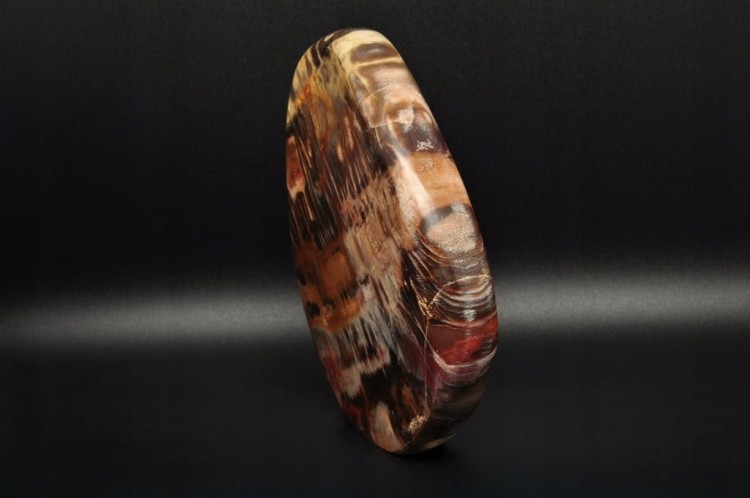 * SKAMIENIAŁE DREWNO MADAGASKAR STOJĄCY MINERAŁ ZJAWISKOWY WZÓR NR 1 *