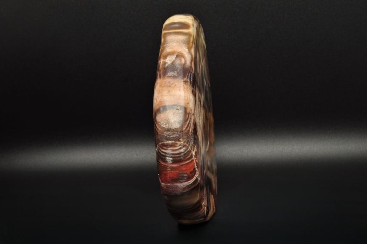 * SKAMIENIAŁE DREWNO MADAGASKAR STOJĄCY MINERAŁ ZJAWISKOWY WZÓR NR 1 *