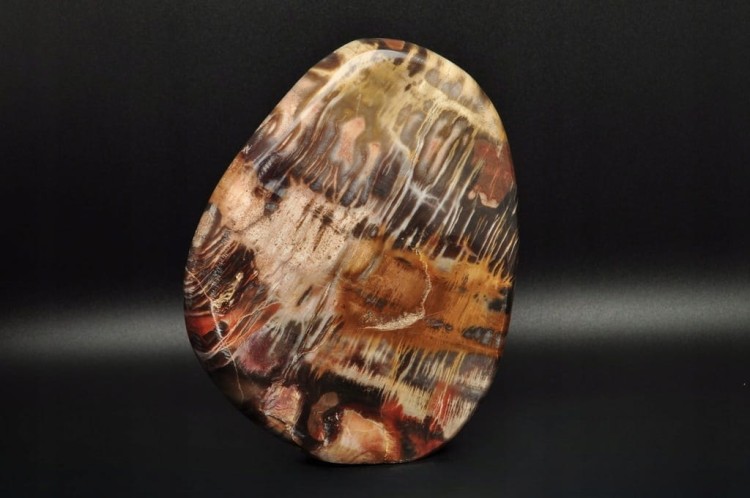 * SKAMIENIAŁE DREWNO MADAGASKAR STOJĄCY MINERAŁ ZJAWISKOWY WZÓR NR 1 *