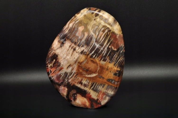 * SKAMIENIAŁE DREWNO MADAGASKAR STOJĄCY MINERAŁ ZJAWISKOWY WZÓR NR 1 *