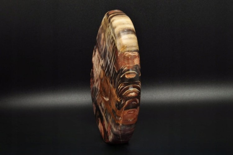 * SKAMIENIAŁE DREWNO MADAGASKAR STOJĄCY MINERAŁ ZJAWISKOWY WZÓR NR 1 *