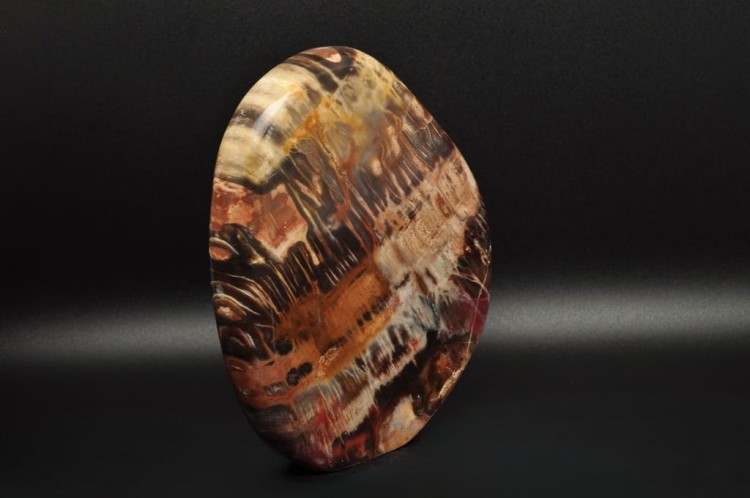 * SKAMIENIAŁE DREWNO MADAGASKAR STOJĄCY MINERAŁ ZJAWISKOWY WZÓR NR 1 *