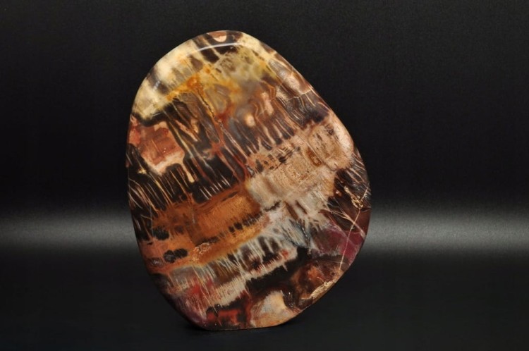 * SKAMIENIAŁE DREWNO MADAGASKAR STOJĄCY MINERAŁ ZJAWISKOWY WZÓR NR 1 *