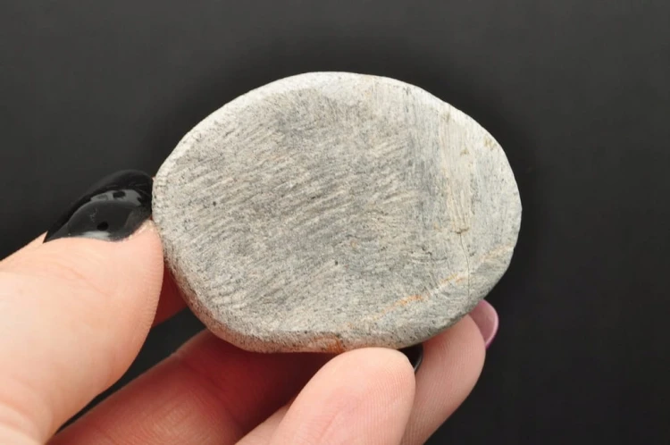 * TRYLOBIT PHACOPS W SKALE NATURALNA SKAMIENIAŁOŚĆ DOBRZE ZACHOWANA NR 8 *