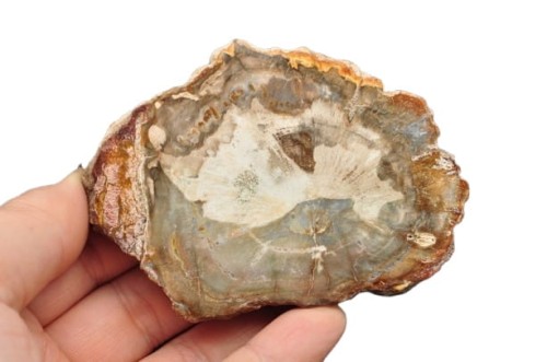 * SKAMIENIAŁE DREWNO PLASTER DOSKONAŁA JAKOŚĆ PIĘKNY KAMIEŃ NR 3 *