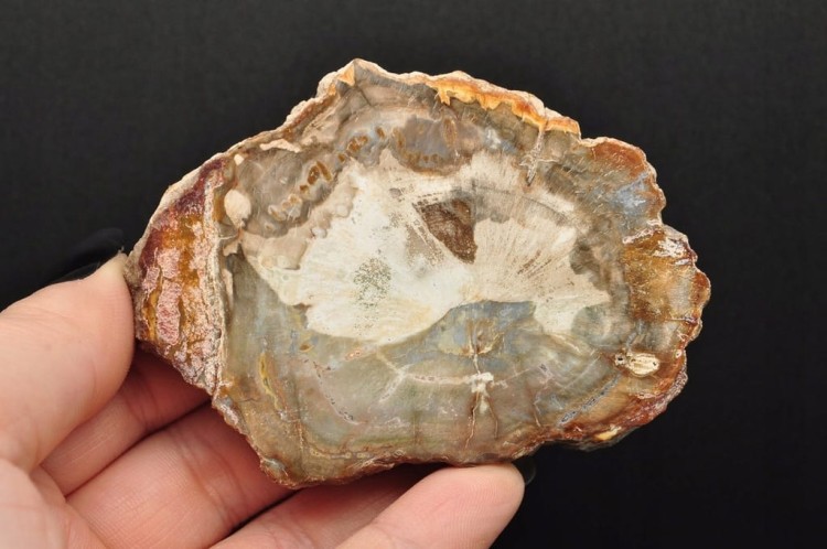 * SKAMIENIAŁE DREWNO PLASTER DOSKONAŁA JAKOŚĆ PIĘKNY KAMIEŃ NR 3 *