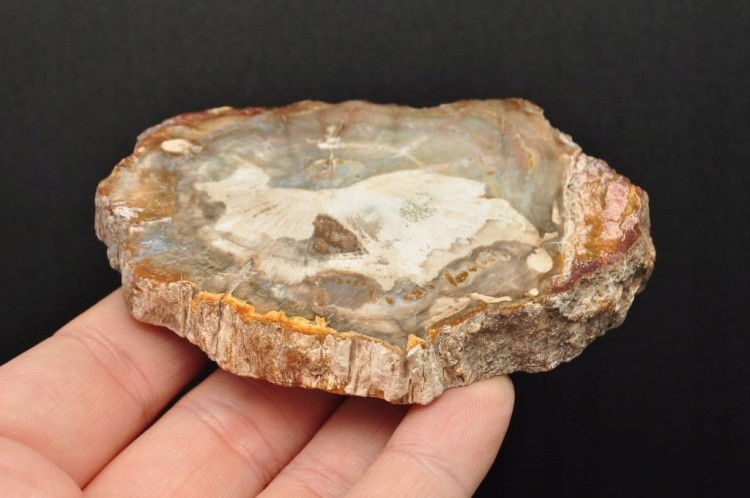 * SKAMIENIAŁE DREWNO PLASTER DOSKONAŁA JAKOŚĆ PIĘKNY KAMIEŃ NR 3 *