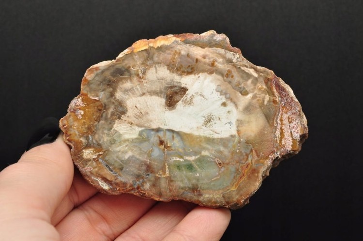 * SKAMIENIAŁE DREWNO PLASTER DOSKONAŁA JAKOŚĆ PIĘKNY KAMIEŃ NR 3 *