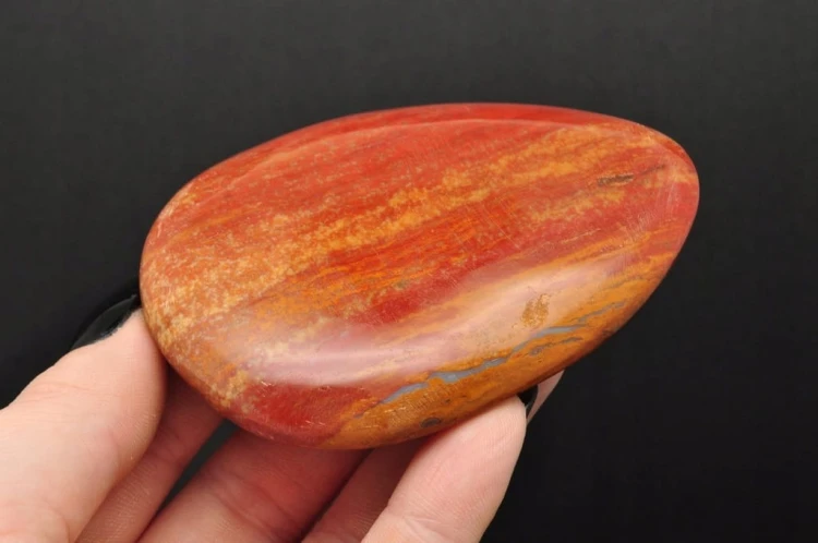 * SKAMIENIAŁE DREWNO MADAGASKAR WIELOKOLOROWY PŁASKI MINERAŁ NR 1 *