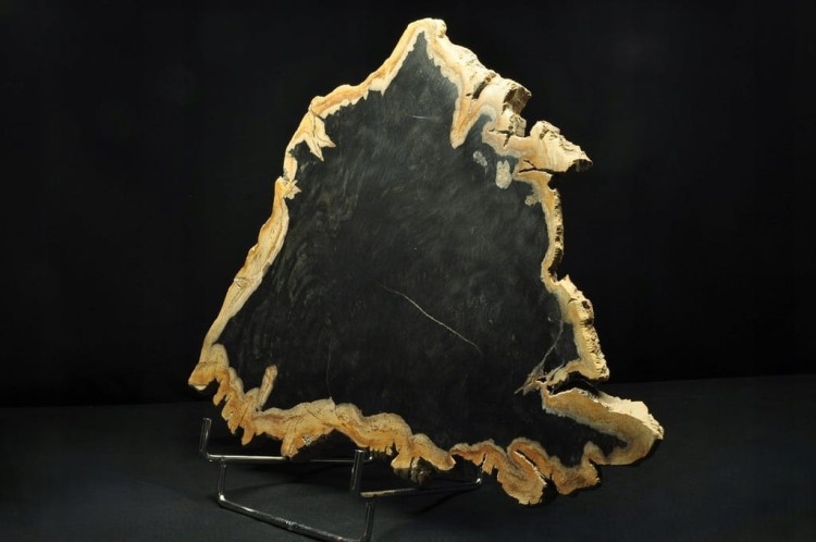 * SKAMIENIAŁE DREWNO INDONEZJA CIEMNA BARWA INTERESUJĄCY DUŻY OKAZ NR 3 *