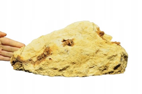 * KWARC W RYOLICIE GEODA KWARCOWA WĘGRY NATURALNY MINERAŁ NR 1 *