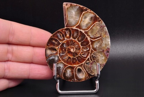 * AMONIT MADAGASKAR UNIKATOWY OKAZ DOSKONAŁY DO KOLEKCJI NR 11 *