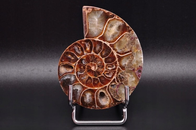 * AMONIT MADAGASKAR UNIKATOWY OKAZ DOSKONAŁY DO KOLEKCJI NR 11 *