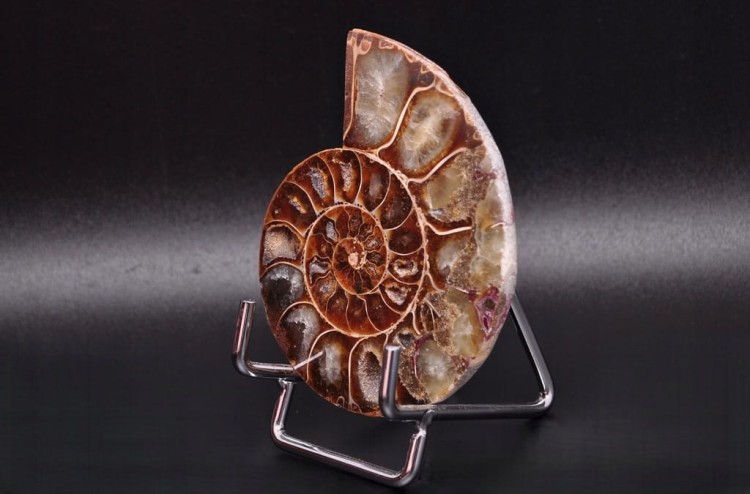 * AMONIT MADAGASKAR UNIKATOWY OKAZ DOSKONAŁY DO KOLEKCJI NR 11 *